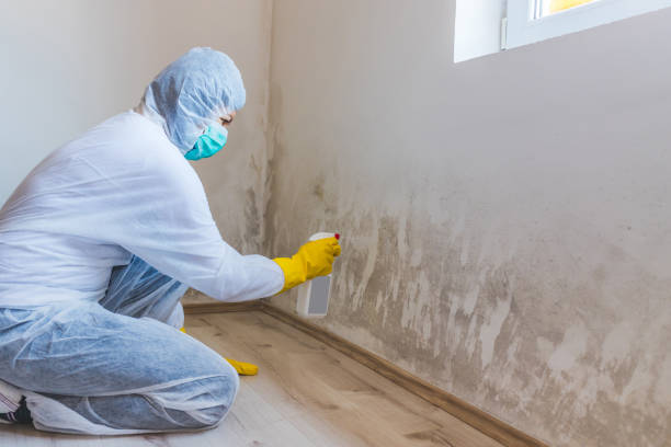 Asbestos and Lead Testing During Mold Inspection in Kenvil, NJ