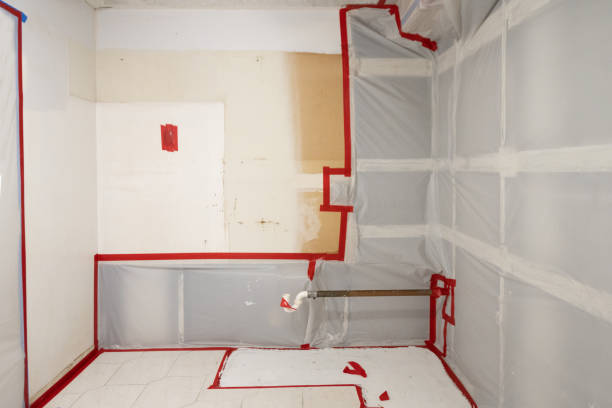 Professional Mold Removal in Kenvil, NJ
