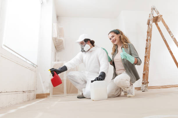 Kenvil, NJ Mold Removal Company