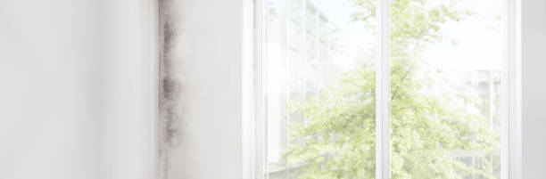 Best Air Quality Testing for Mold Spores  in Kenvil, NJ